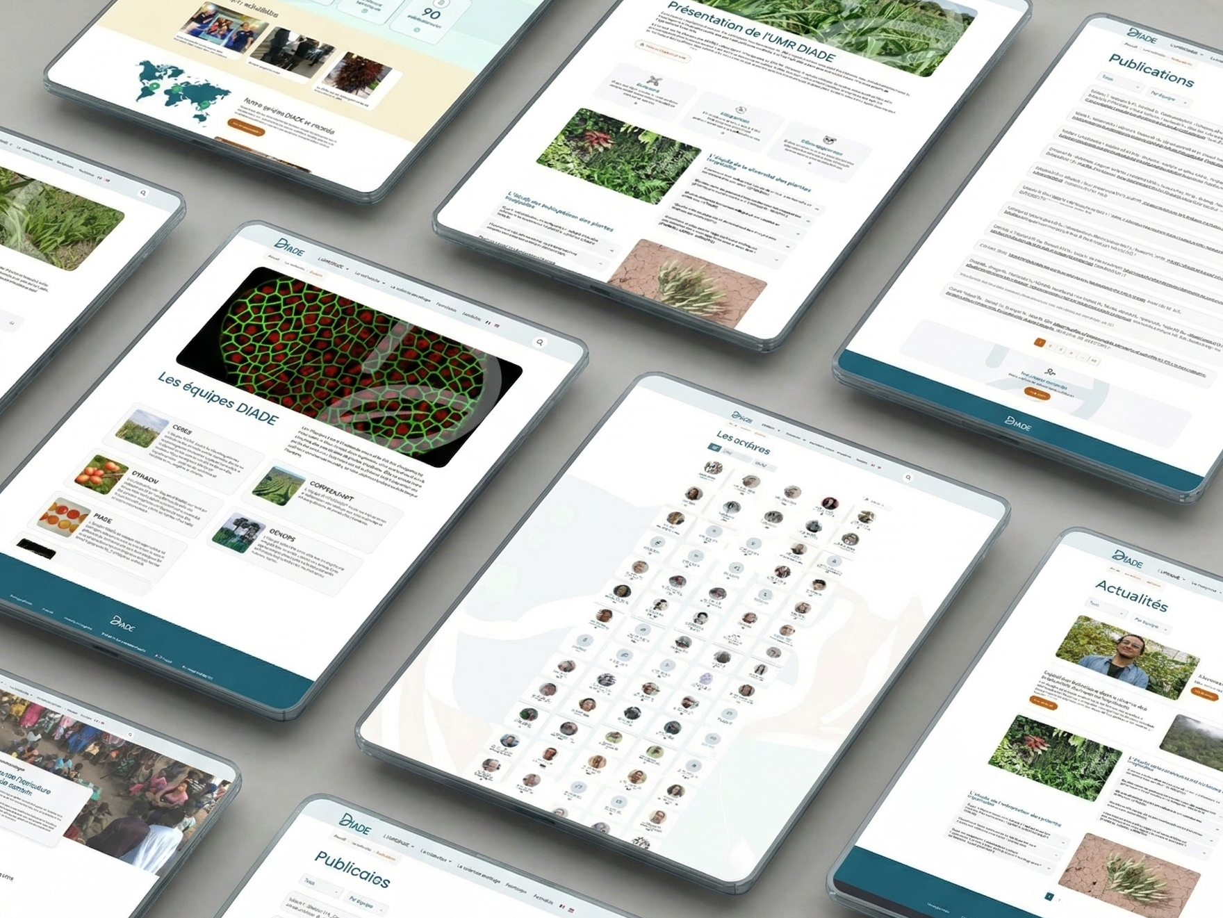 UMR DIADE — Le hub numérique de la recherche en biologie végétale tropicale