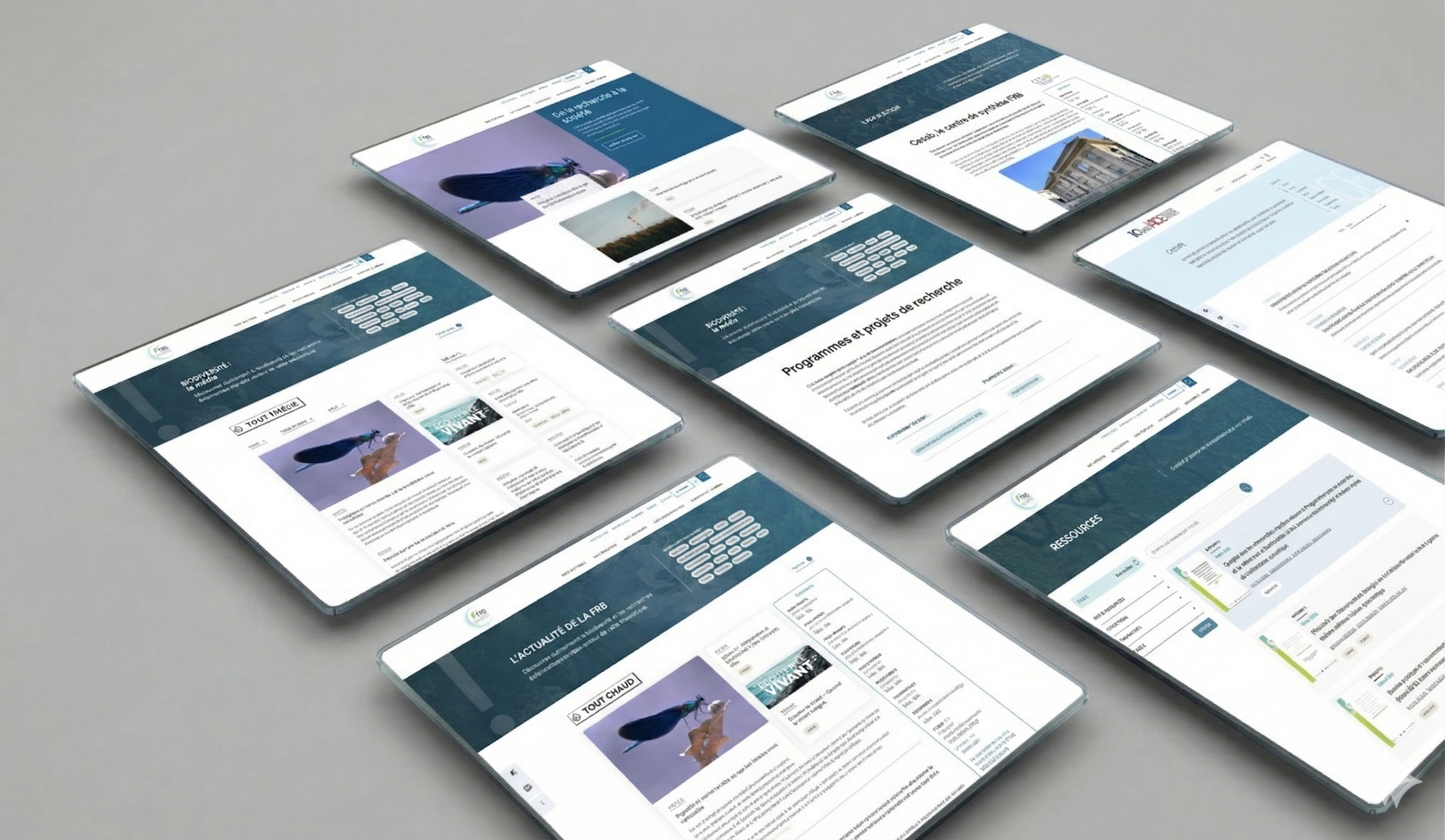 FRB – Fondation pour la recherche sur la Biodiversité